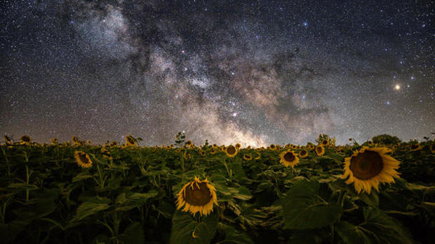 astrophotography-kim-starkey-sunflower-610.jpg 
