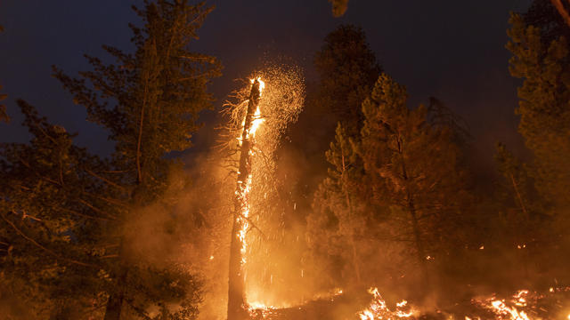 Bobcat Fire Burns East Of Los Angeles 