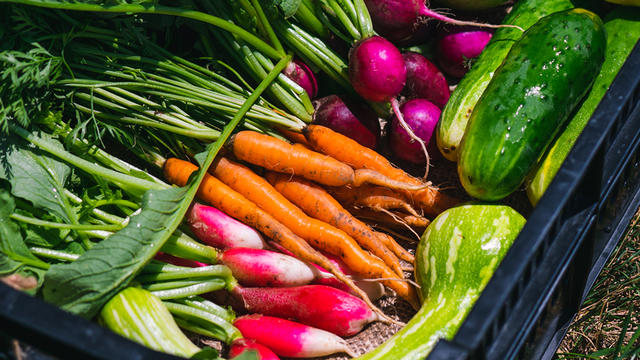 trillium-farm-box.jpg 