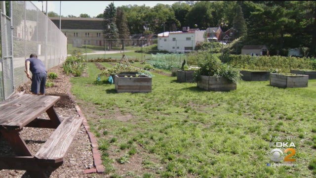 home-plate-garden.jpg 