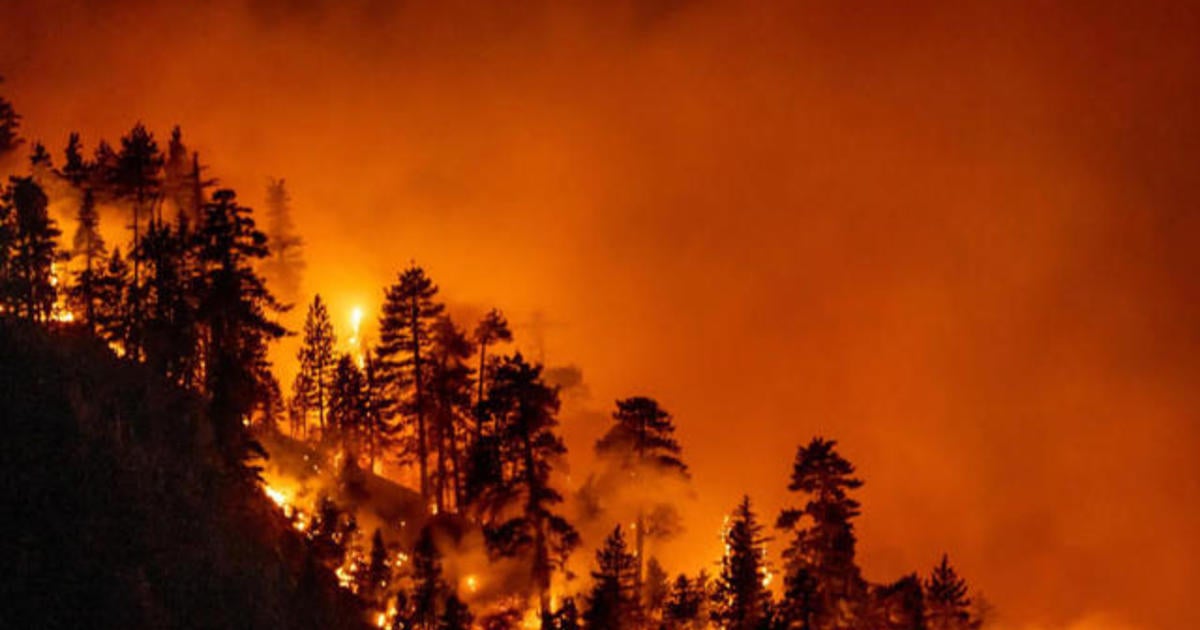 Local Matters: Record-breaking wildfires in California have burned over ...