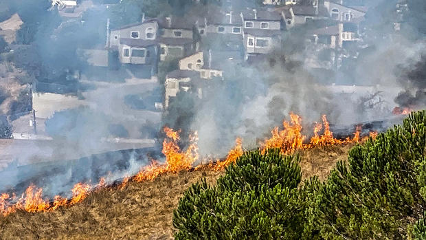 Grass Fire Burns Near Homes in San Leandro 