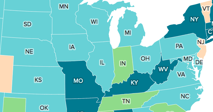 How do I vote in my state in the 2020 election?