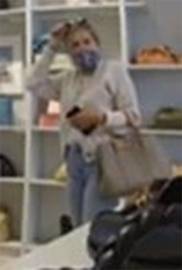 East Hampton Handbag Thief 