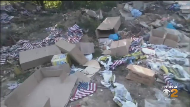 flagscemetery-.jpg 