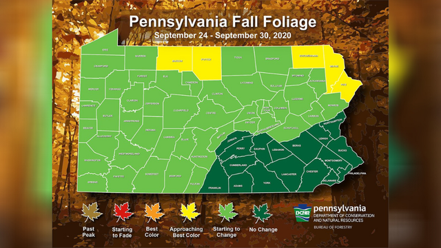 pennsylvania-fall-foliage-report-week-1.png 