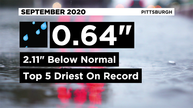 Temp1-7.png 
