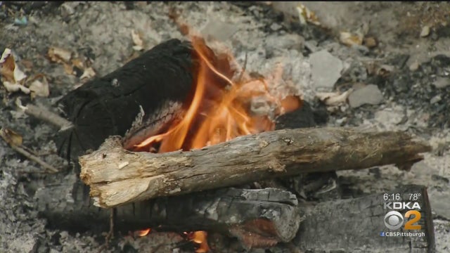 bonfire.jpg 