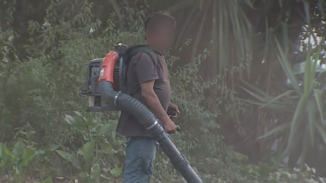 leaf-blower-guy.jpg 