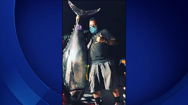 1 record bluefin tuna 