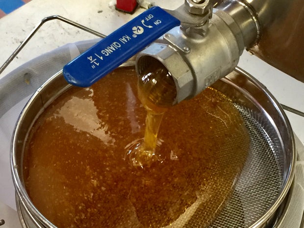 MedCityMcKinney_HoneyBees (10) 