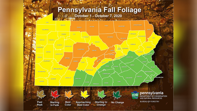 fall-foliage-forecast-2020-week-2.png 