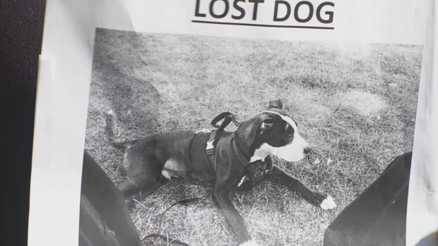 DOG ARMED ROBBERY FOLLOW 5PKG.transfer_frame_1037 