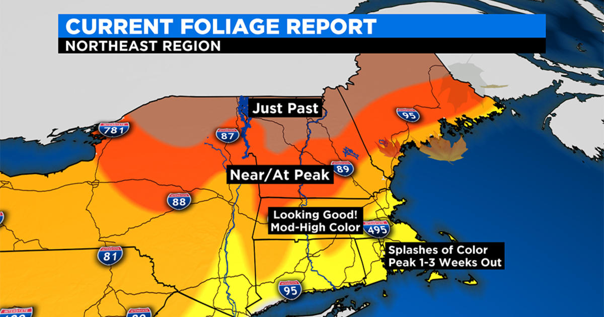 New England Fall Foliage Past Peak Up North After Reports Of 'Massive