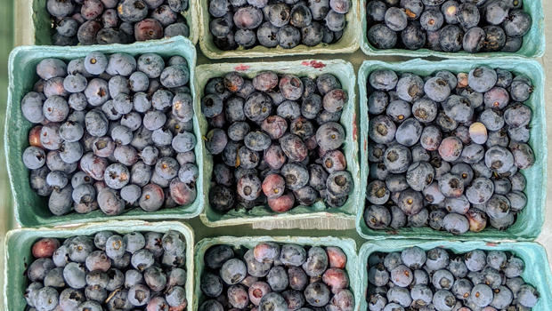 blueberries-620.jpg 