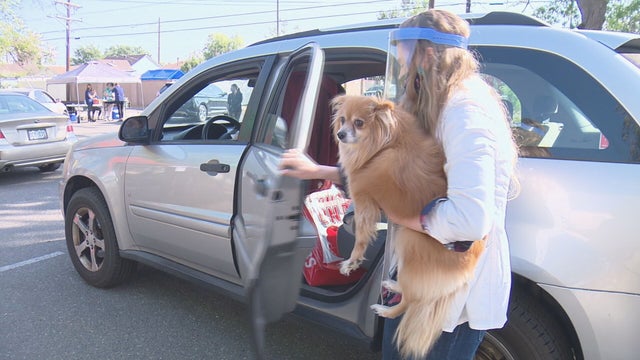 MOBILE PET CLINIC PKG .transfer_frame_1400