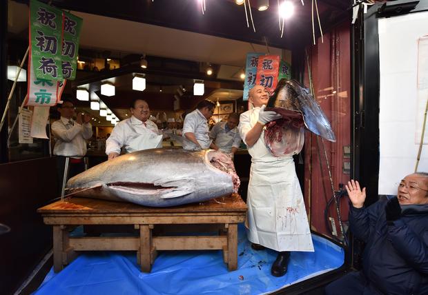 JAPAN-LIFESTYLE-FISHING-AUCTION-FOOD-TUNA 