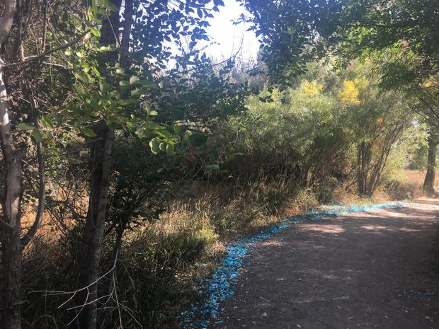 gender reveal trash on trail credit jeffco open space 
