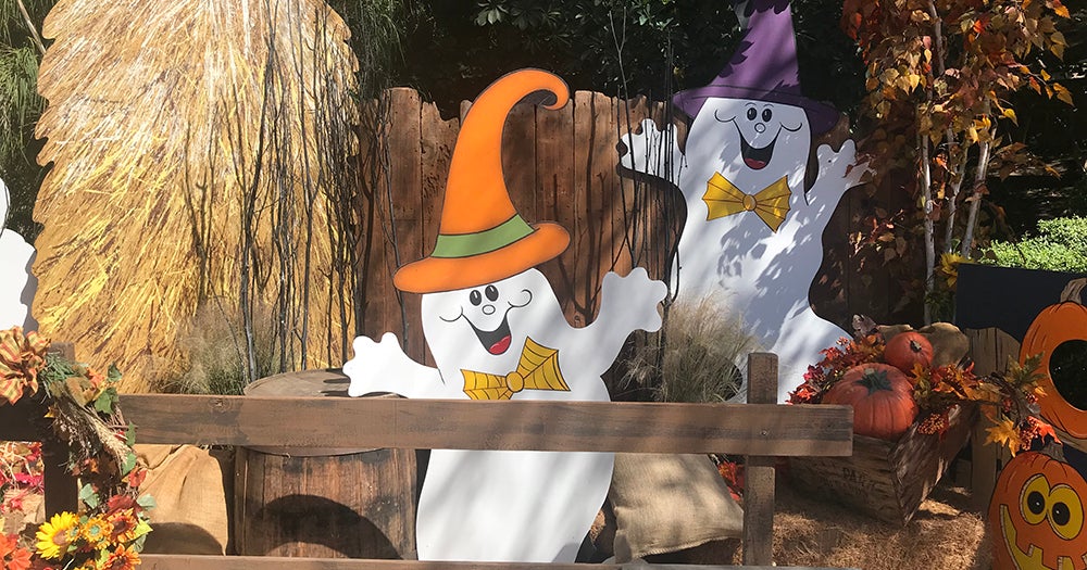 Santa Ana Zoo's 'Boo At The Zoo' Tickets On Sale Now CBS Los Angeles