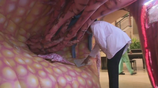 Inflatable Breast Inside 2 