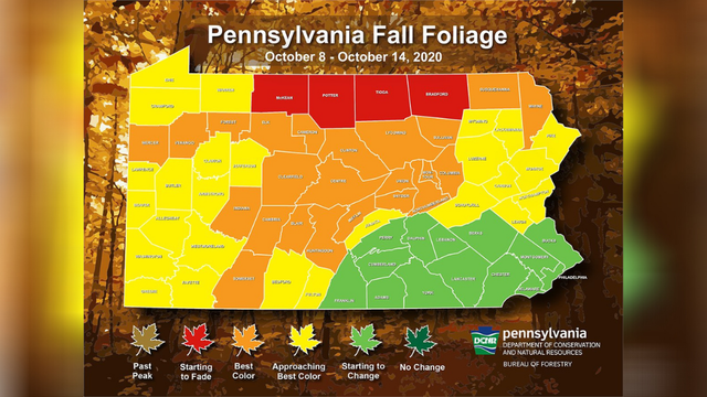 fall-foliage-forecast-2020-week-3.png 