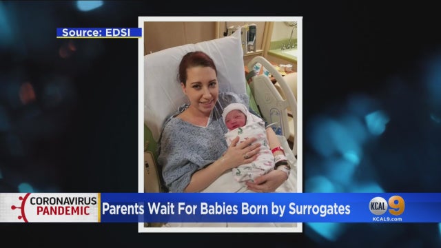 surrogacy.jpg