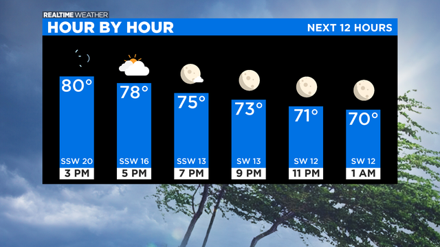 Bar Graph Next 12 Hours 