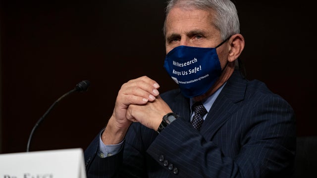 Dr. Anthony Fauci Testifies Before Senate On Federal Response To Pandemic 