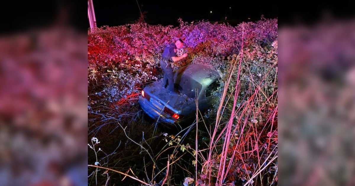 Sacramento Man On Probation Crashes After Leading Officers On High ...