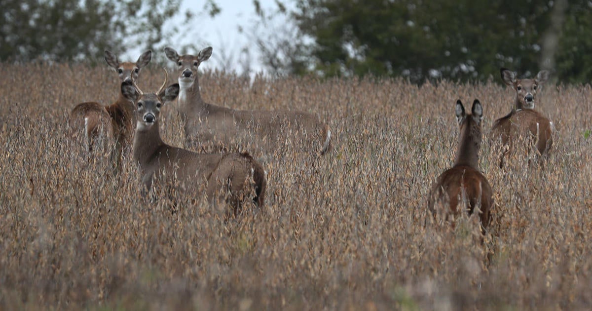 Pa. hunters donated nearly 1.3 million servings of venison during past season