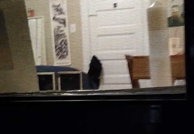 boulder peeping tom credit bpd6 