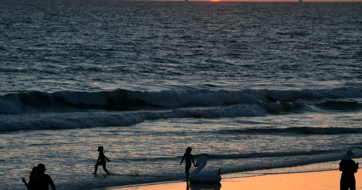 Shark Lab tags record number of sharks off Southern California coast ...