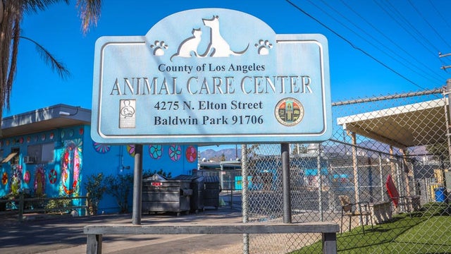 Baldwin-Park-Animal-Care-Center.jpg 