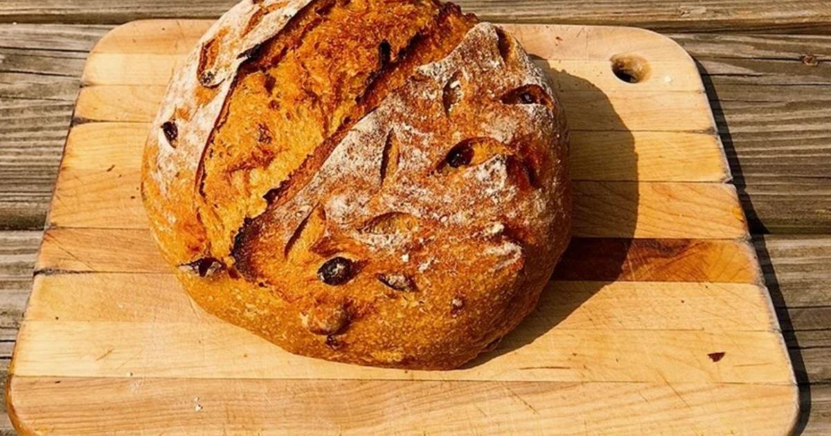 RECIPE  Pumpkin and Chocolate Sourdough Loaf baked in Lodge Cast Iron Loaf  Pan — Artisan Bryan