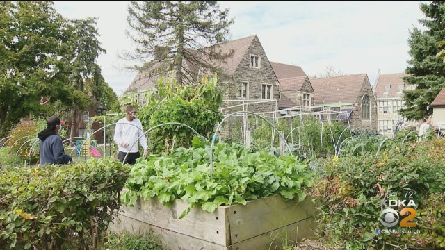 garden.jpg 