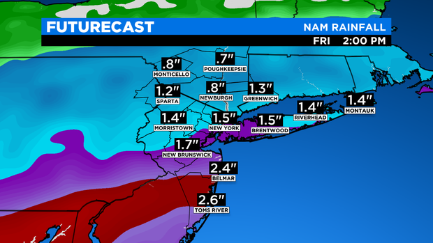 SkyCast FutureCast Rainfall NAM