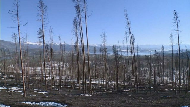 East Troublesome Fire Burn Area (2) 