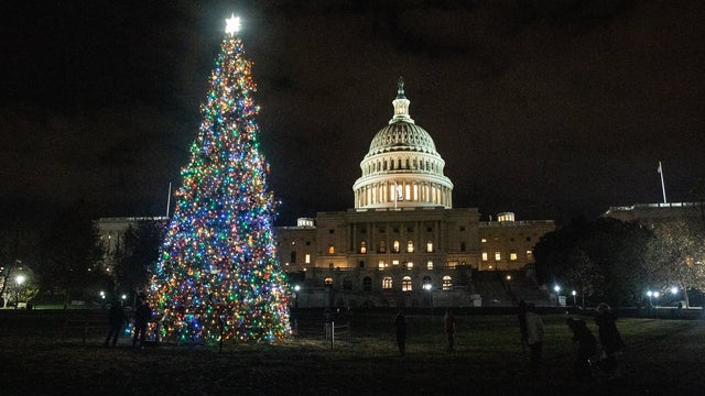 capitol-christmas-tree.jpg 