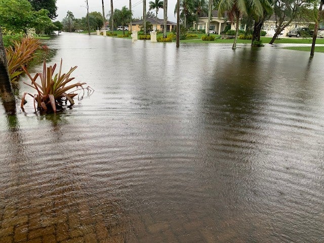 Tropical Storm Eta Flooding In South Florida
