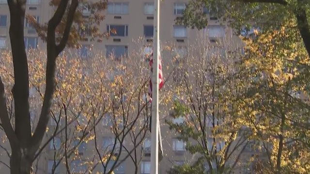 veterans-day-women-central-park-trees.png 