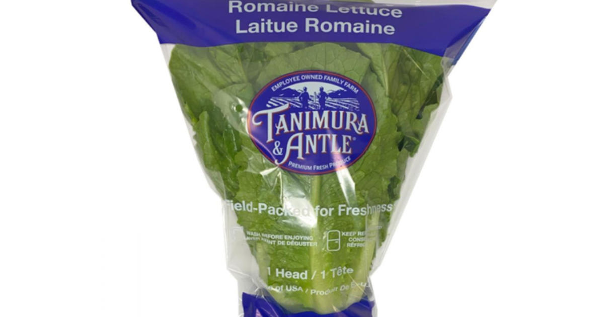 Romaine Lettuce Recalled In Massachusetts And Other States For Possible