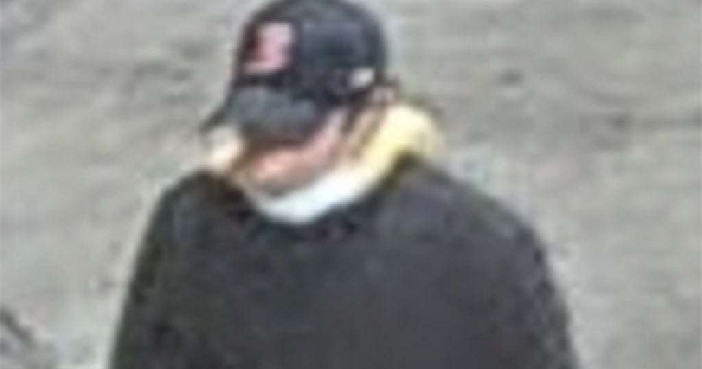 Boston Police Release Second Photo Of Man Wanted In Public Garden Sex ...