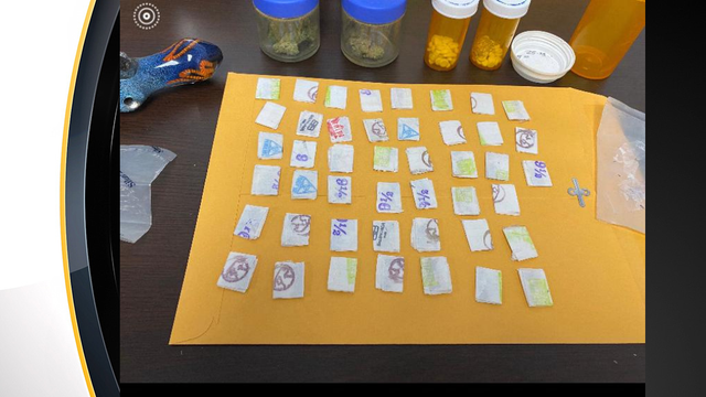 kiski-township-drug-bust 