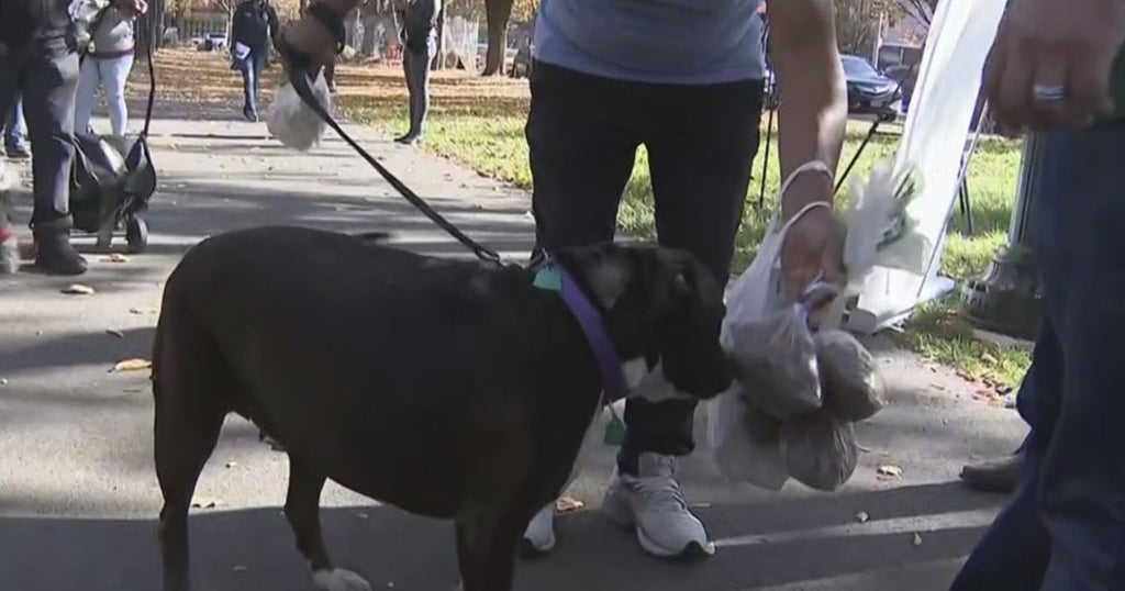 1,000 Pounds Of Pet Food, Supplies Handed Out In The Bronx CBS New York
