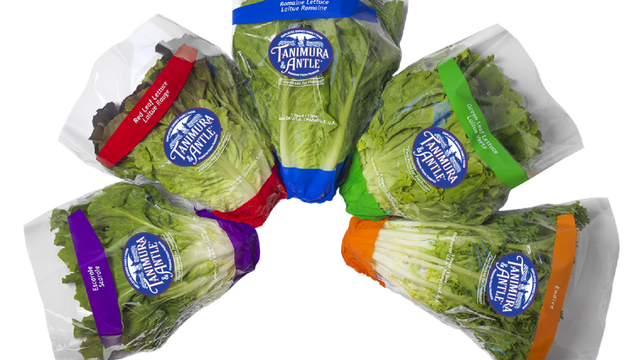 field-fresh-shrink-family-e1576104031967.png 