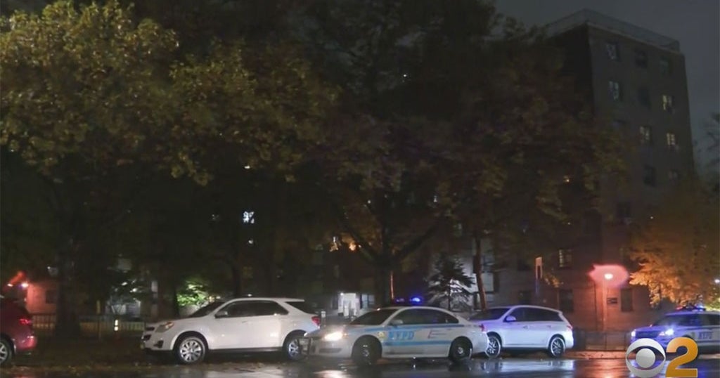 13-Year-Old Girl Struck By Stray Bullet In The Bronx - CBS New York