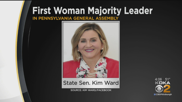 state-senator-kim-ward.png 