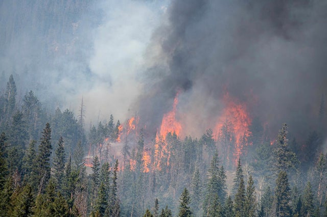 cameron peak fire