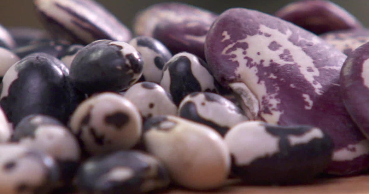 Heirloom beans, from Napa Valley to your mailbox - CBS News