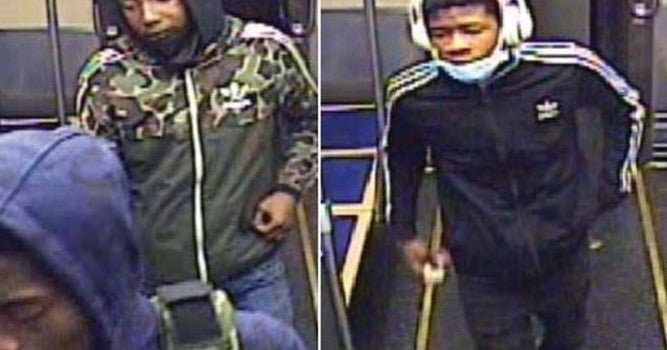 Police Search For Assailants Who Attacked, Robbed Man On Pink Line At ...
